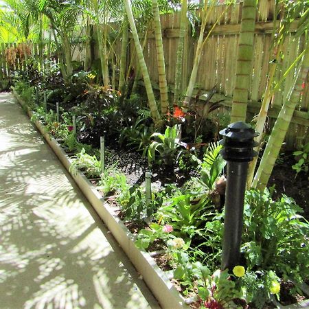 Sunlit Waters Studio Apartments Airlie Beach Luaran gambar